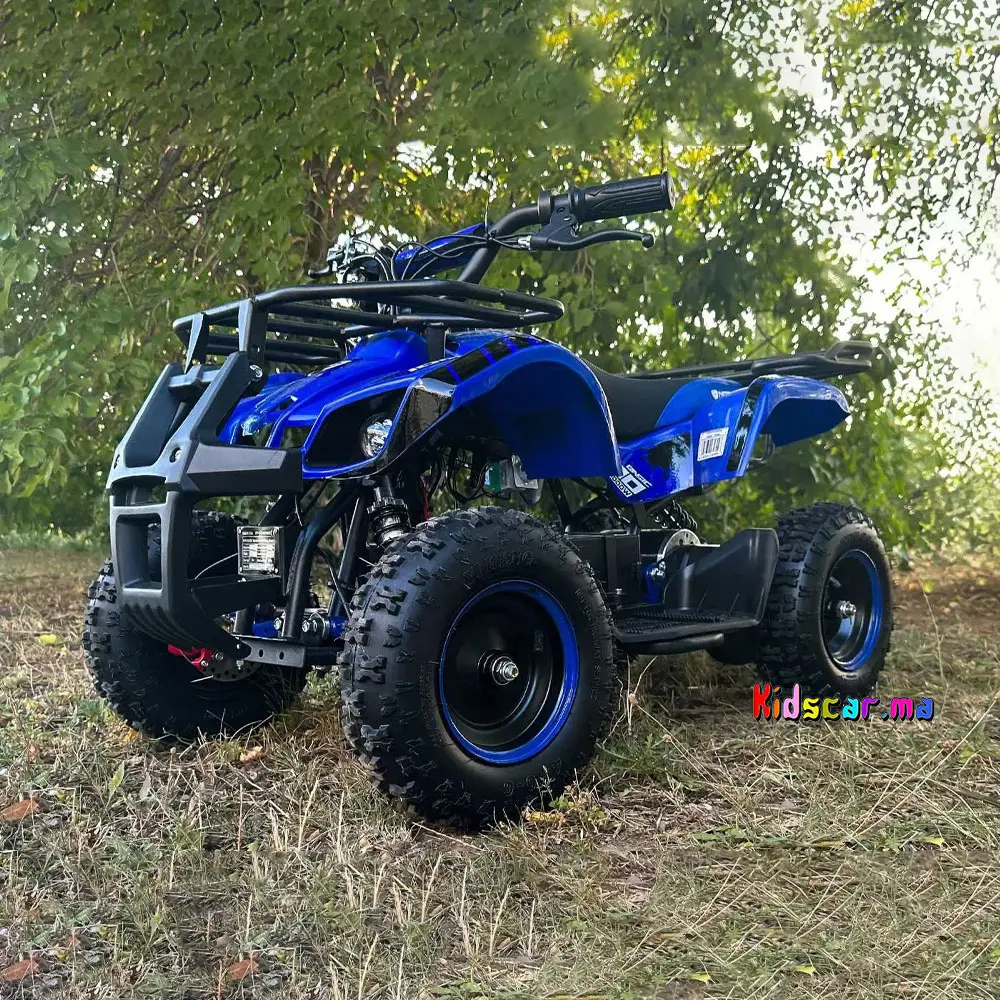 Nouveau Mini Quad Orion pour enfant à essence 49 cc (0)
