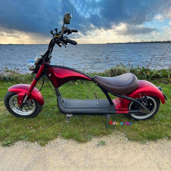 NEW Scooter électrique Citycoco Chopper Brushless 3000watts avec Carte Grise