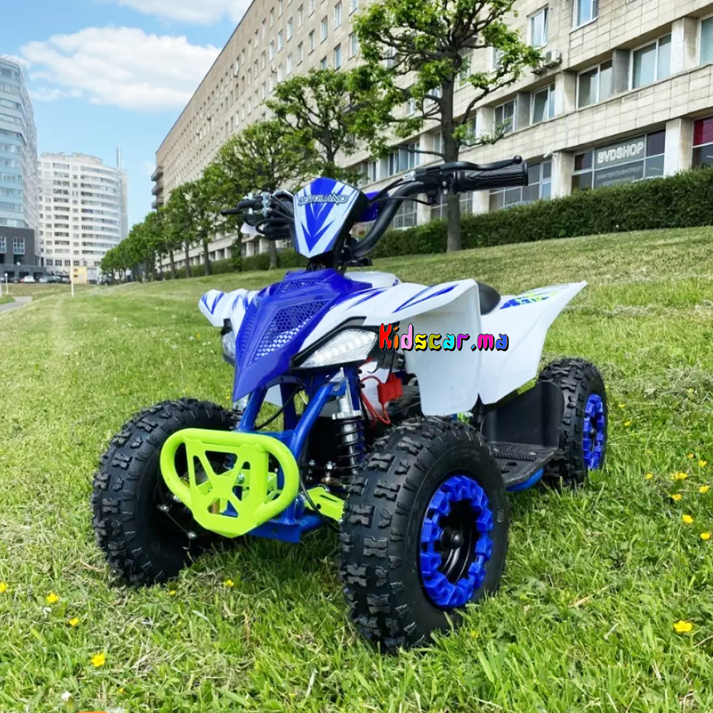 New Mini Quad électrique de luxe Orion 1000 watts 36 volts